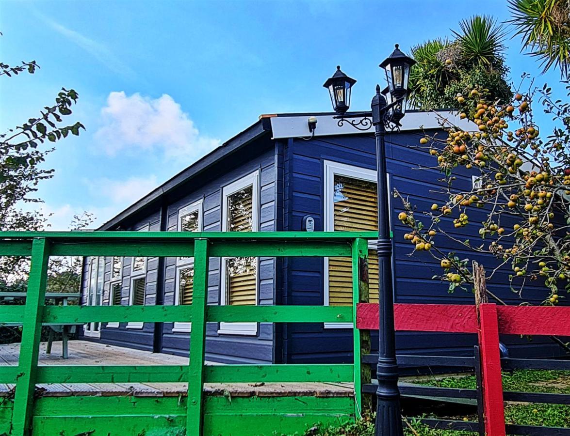 רדרות' Palm Cottage מראה חיצוני תמונה